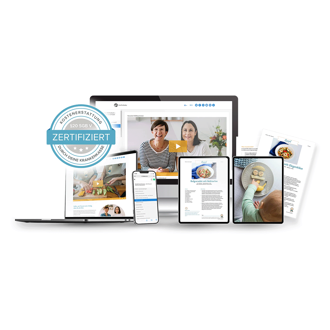 Beikost-Onlinekurs_Cover-1080x1080.png