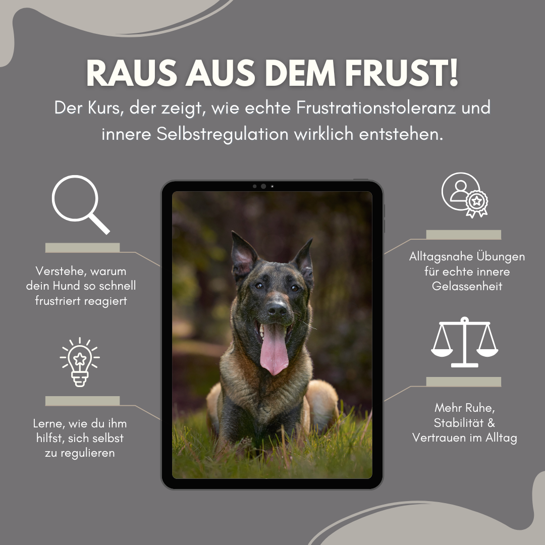 CC Petfluencer (2)-1080x1080.png