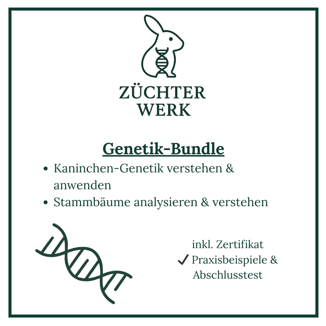 Genetik Bundle-1080x1080.png