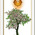 digital-icon