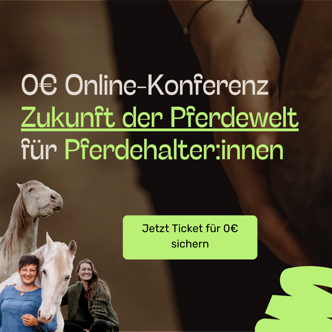 Konferenz Ticket-1080x1080.png