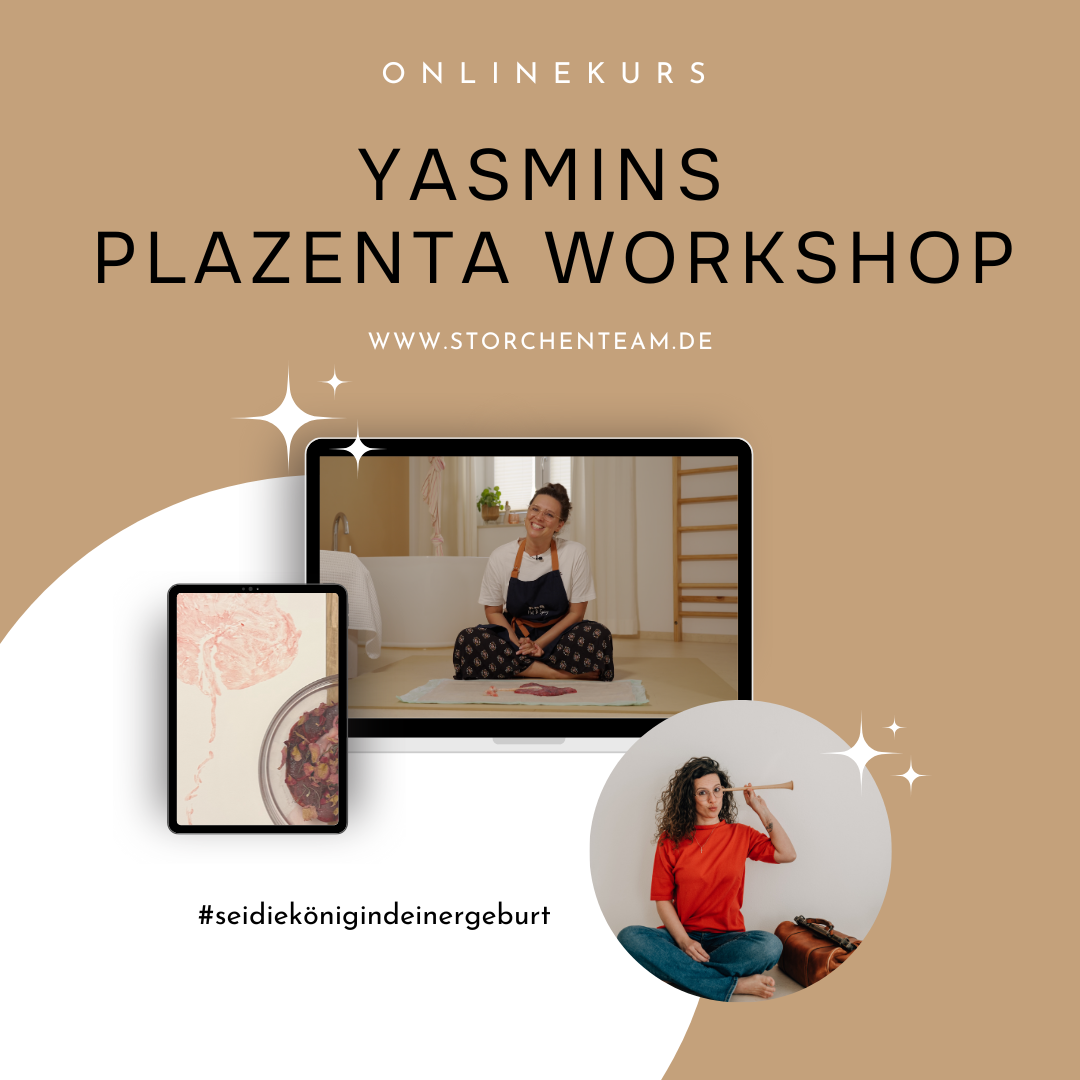 Plazenta Workshop