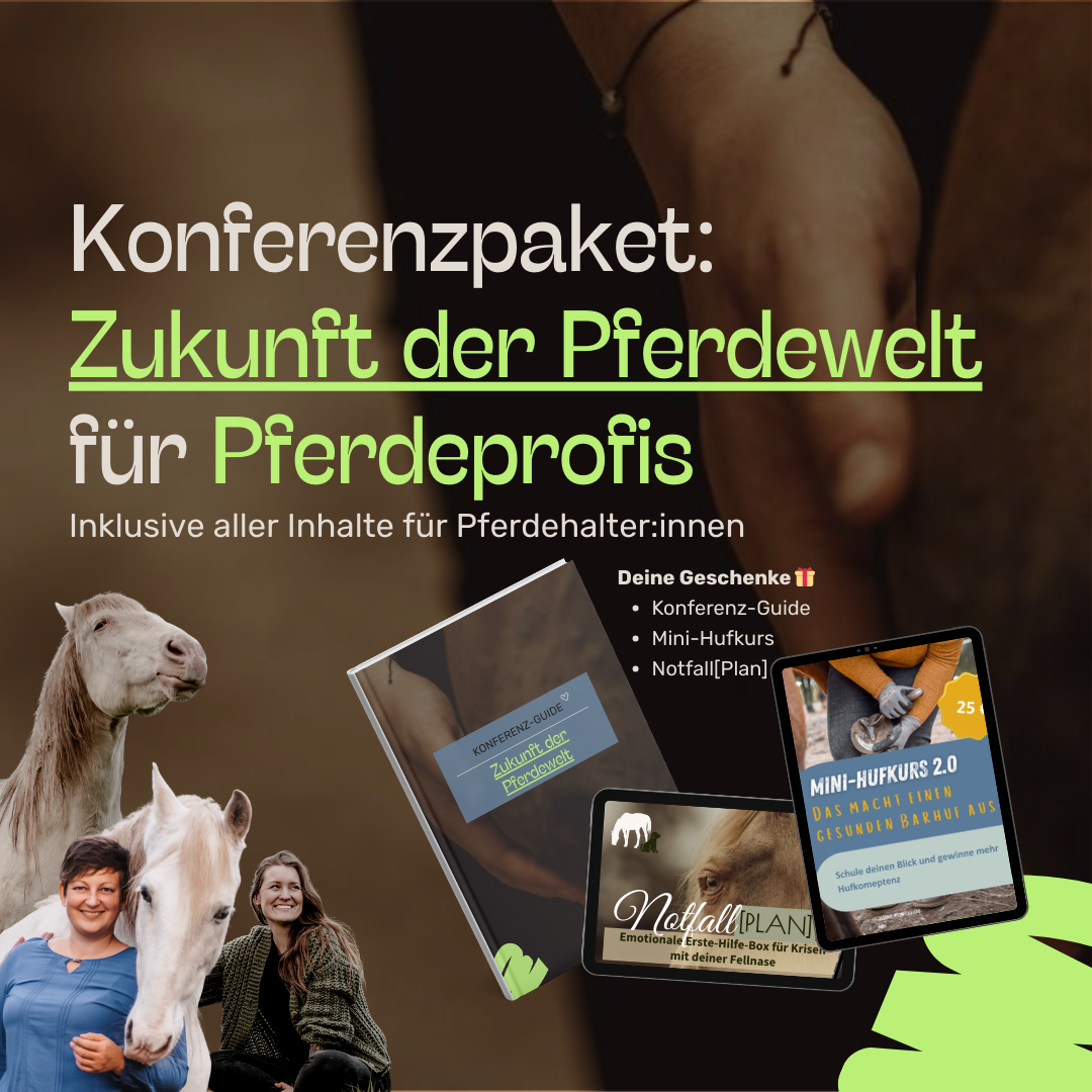 Konferenzpaket Profis-1080x1080.png