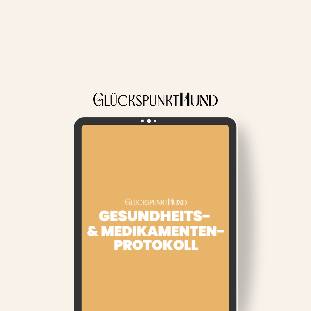 Gesundheitsprotokoll