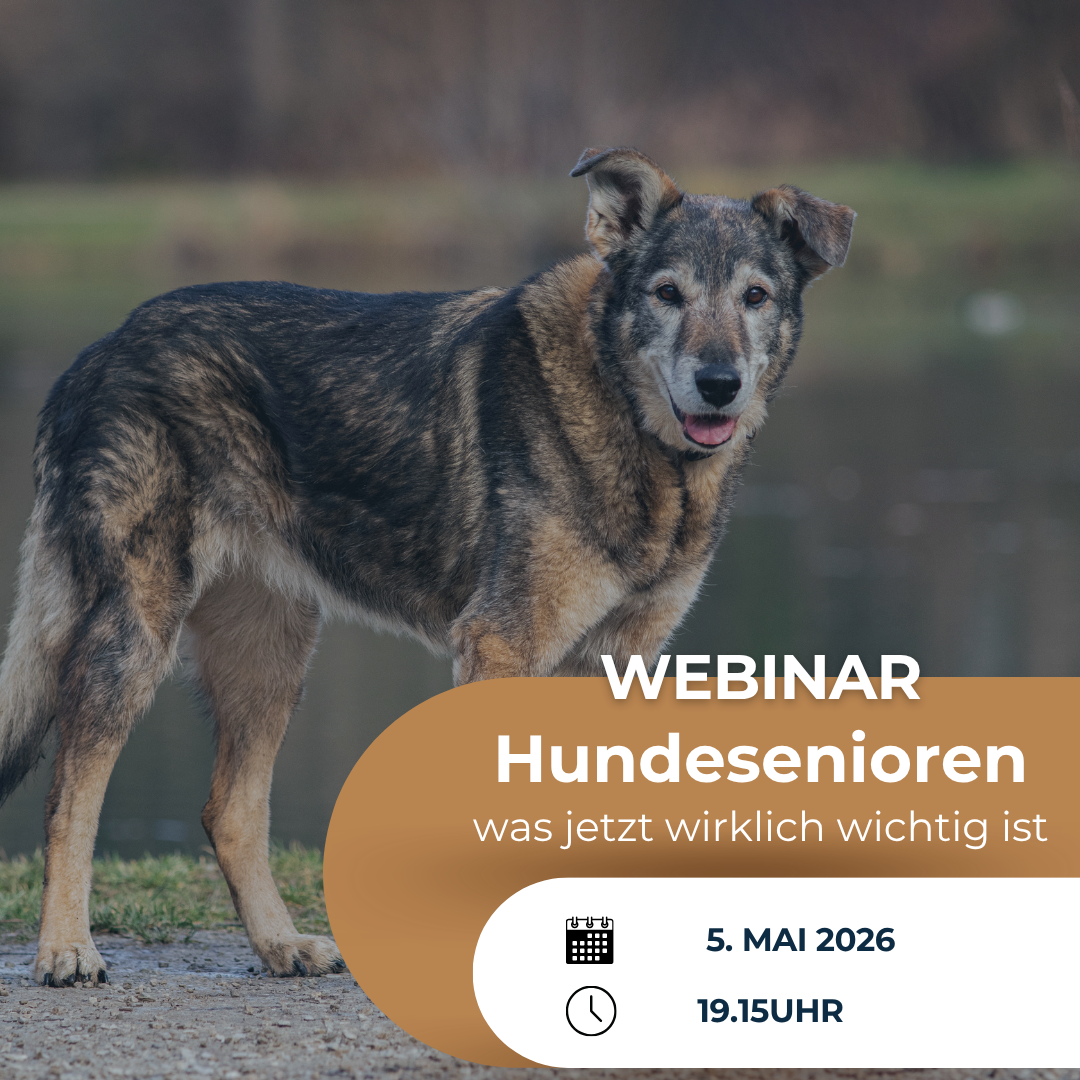 Webinar Banner-1080x1080.png