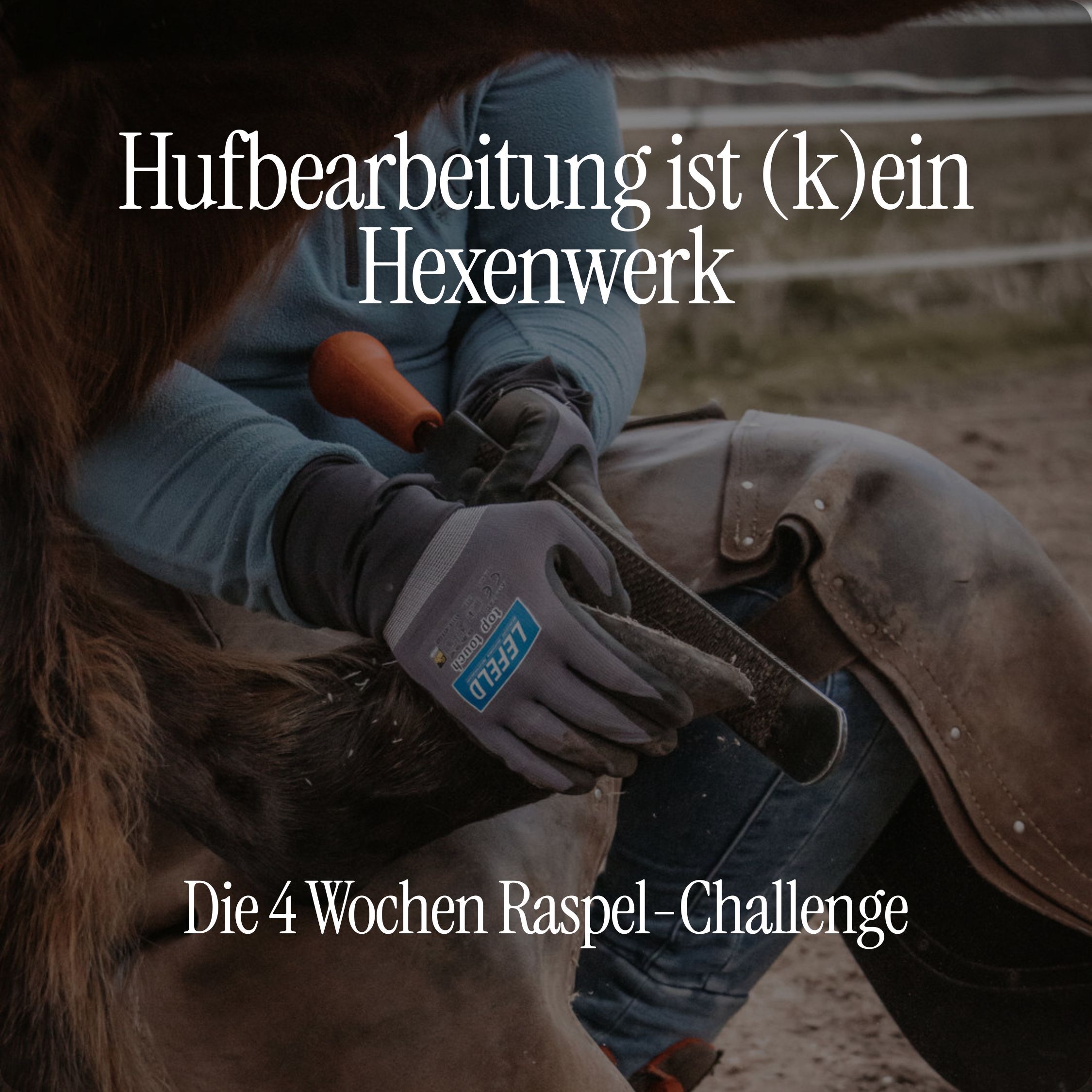 Hufbearbeitung ist (k)ein Hexenwerk