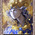 digital-icon