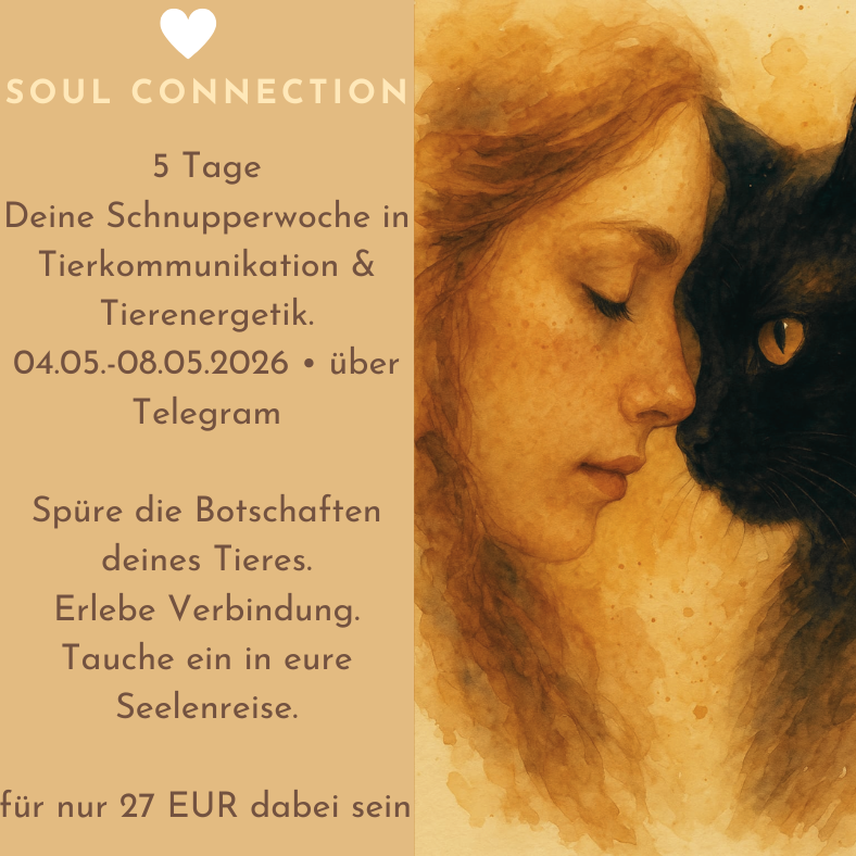Soul Connection (1)-788x788.png