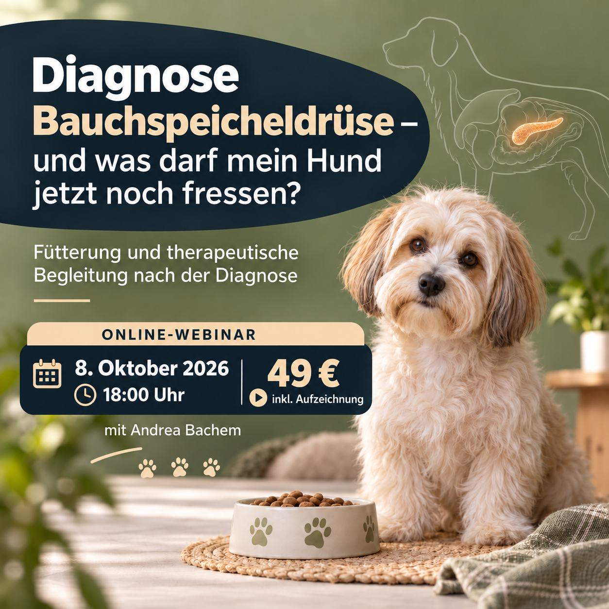 A0FC6955-8328-41AC-9237-B1039A470293-1254x1254.png