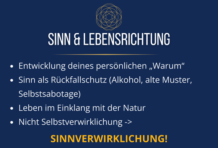 Sinn und Lebensrichtung! SINNVERWIRKLICHUNG