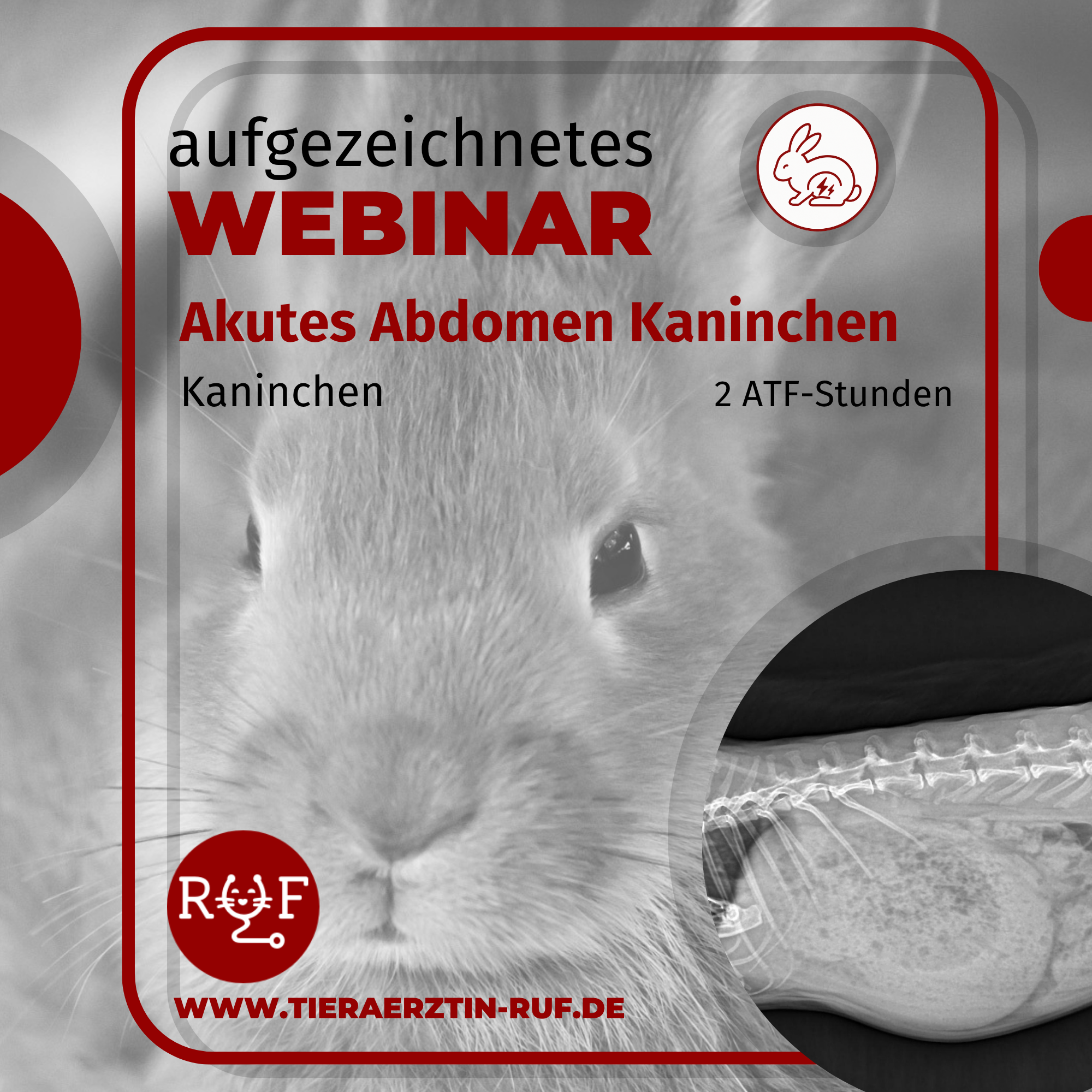 Aufzeichnungen cover 26 akutes abdomen-2000x2000.png