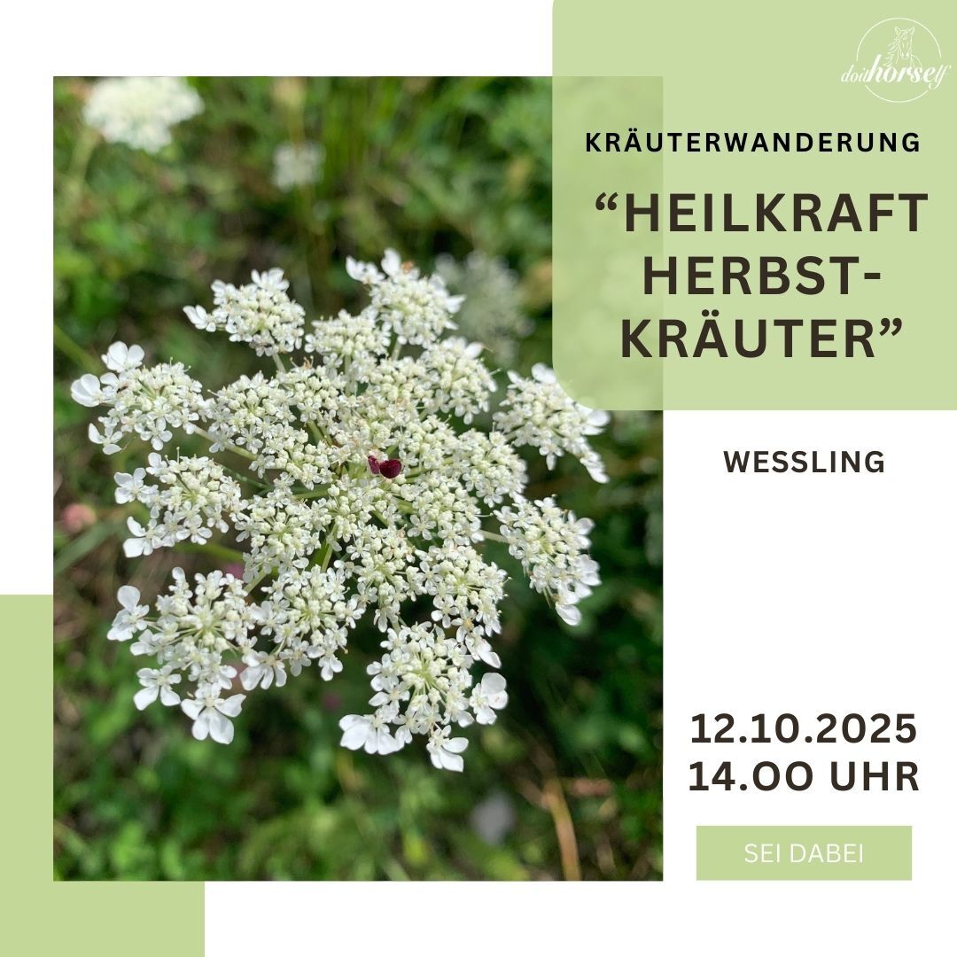 Kopie von Vorlage_elopage_kurs (1)-1080x1080.jpg