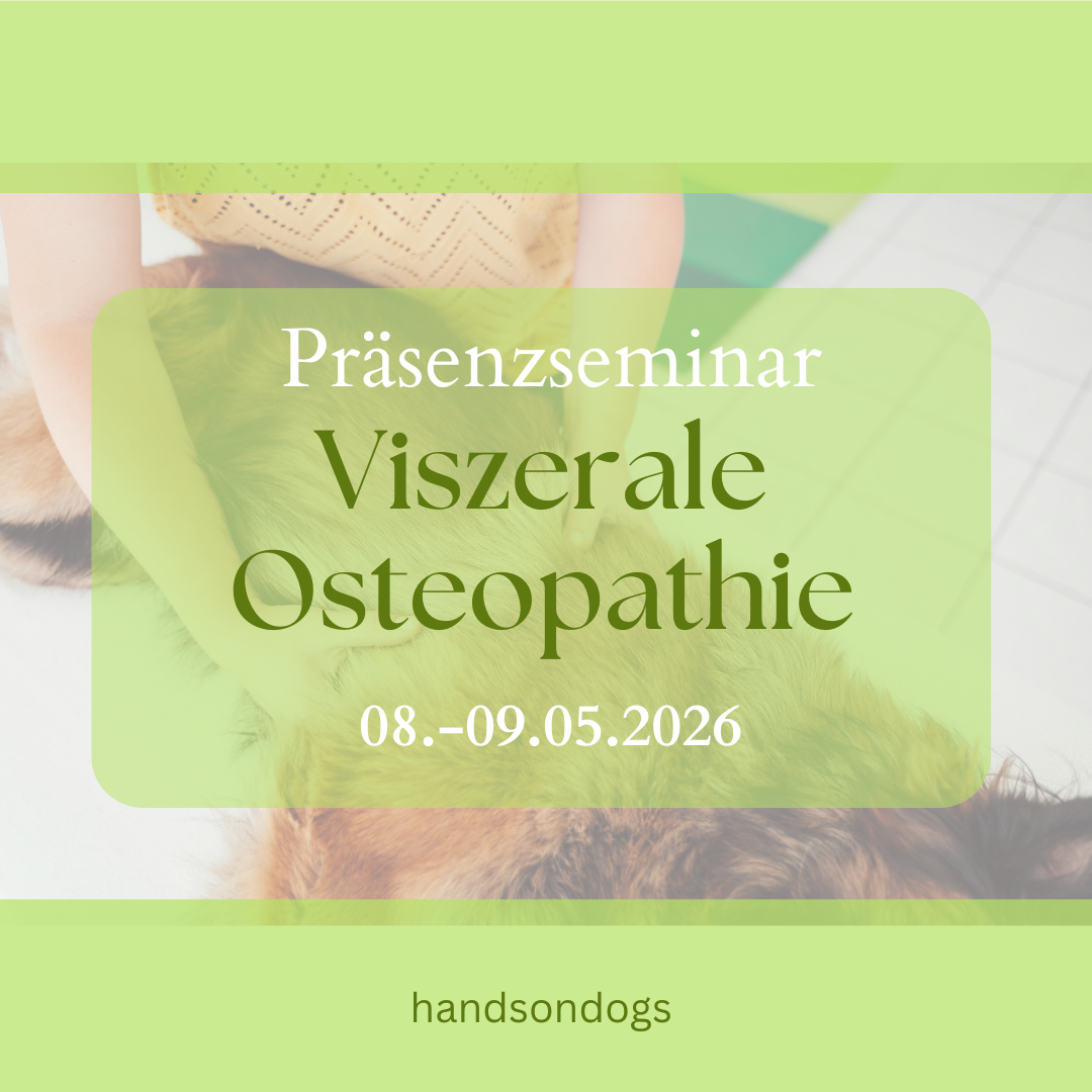 Viszerale Osteo-1080x1080.png