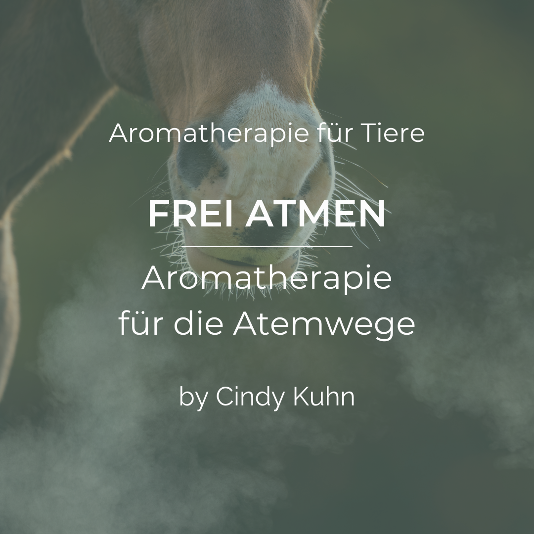 Feuer, Pflanzen, Seelenwärme (9)-1080x1080.png