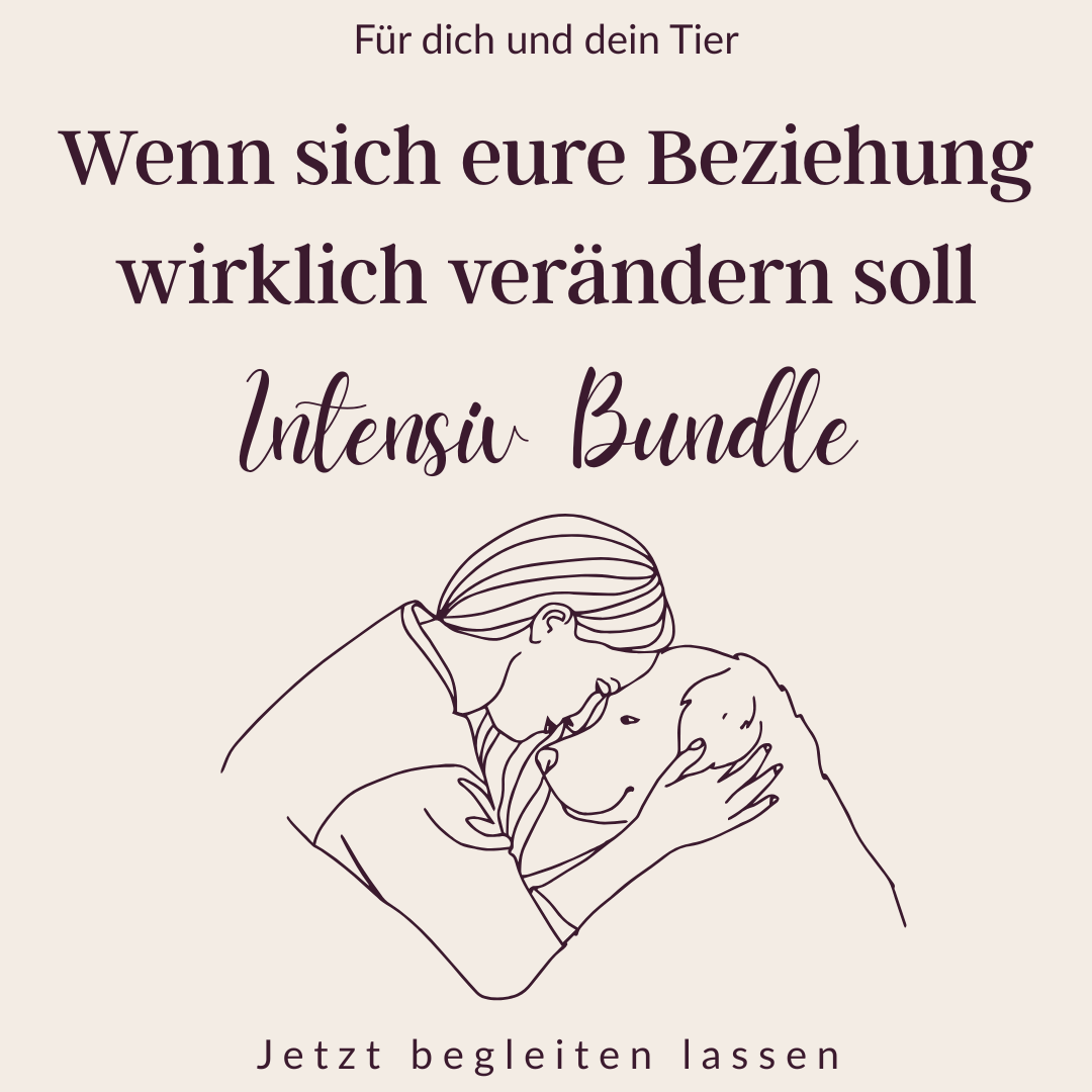 Produktbild Intensiv Bundle