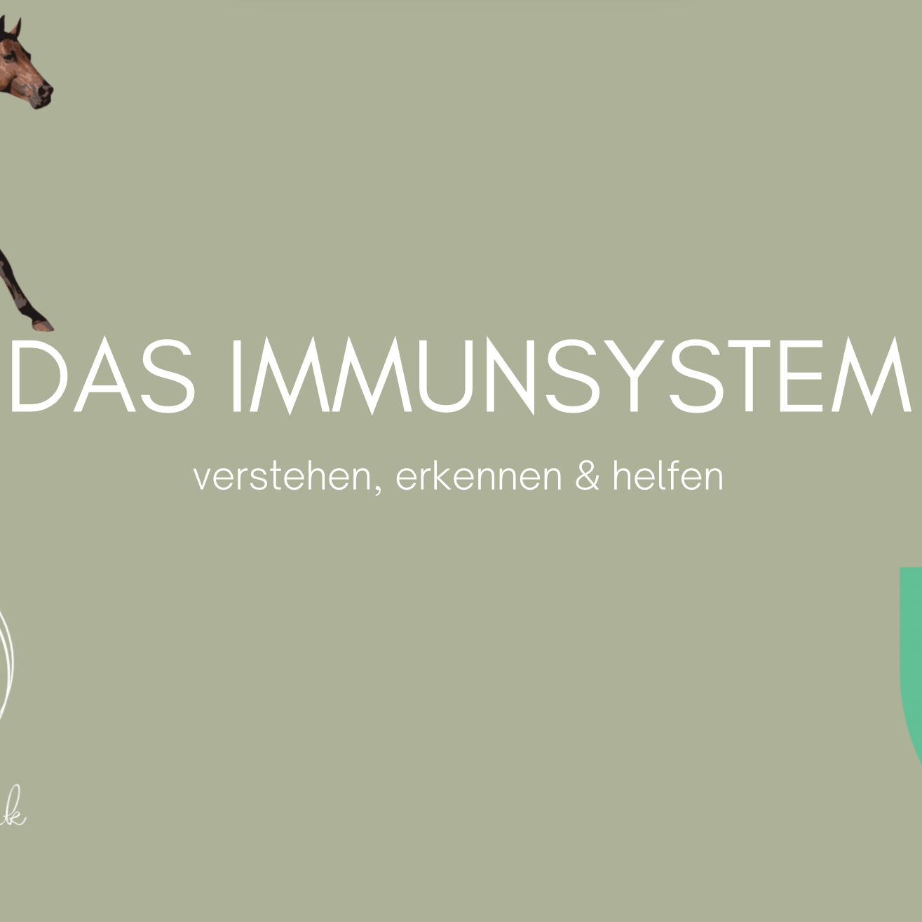 Bildschirmfoto 2025-03-27 um 10.34.45-1315x1316.png