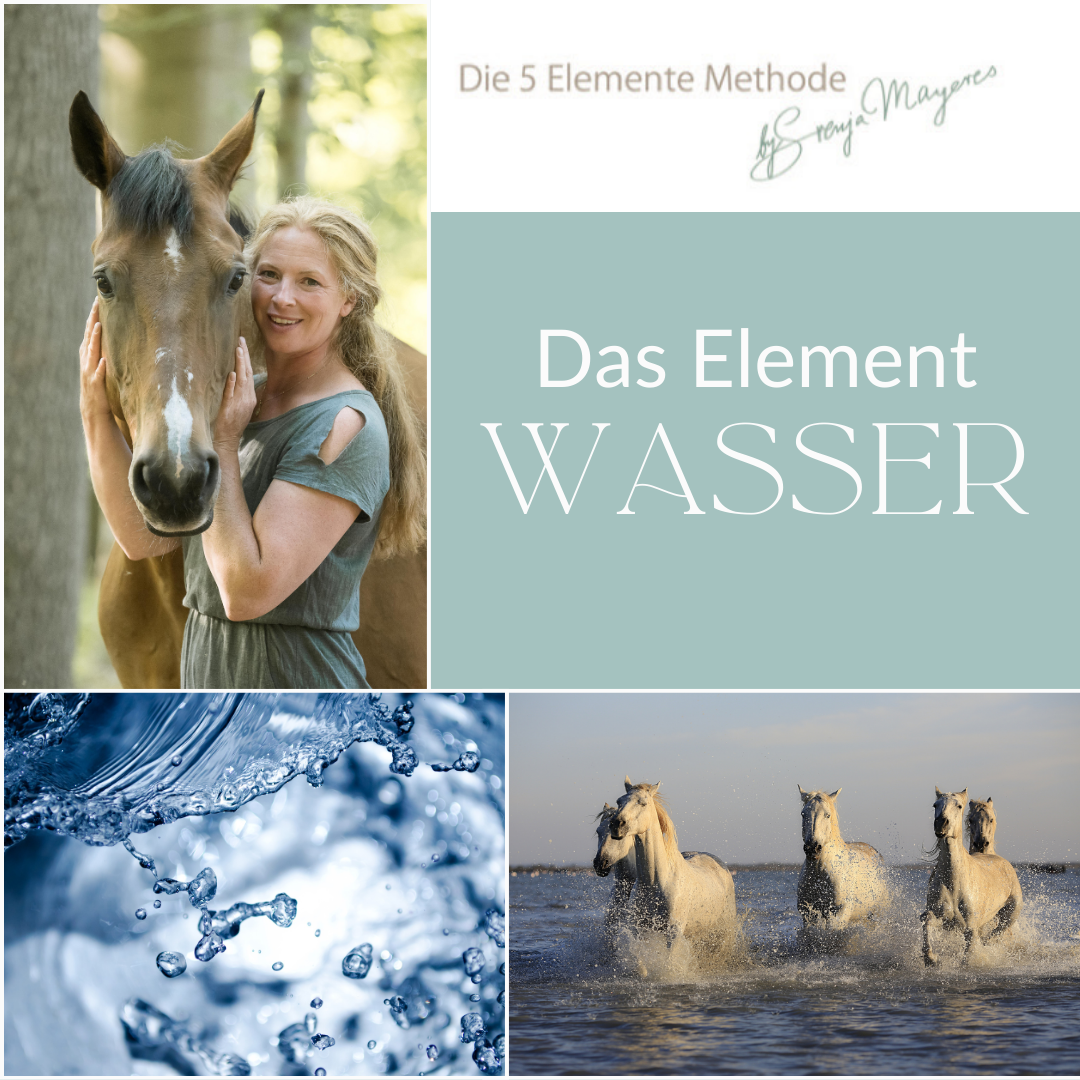 Cover Wasser-1080x1080.png