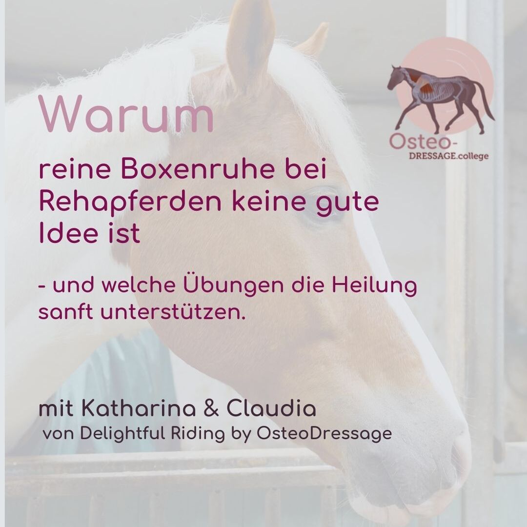 Webinar  titel     (240 x 60 px) (1080 x 1080 px)-1080x1080.jpg