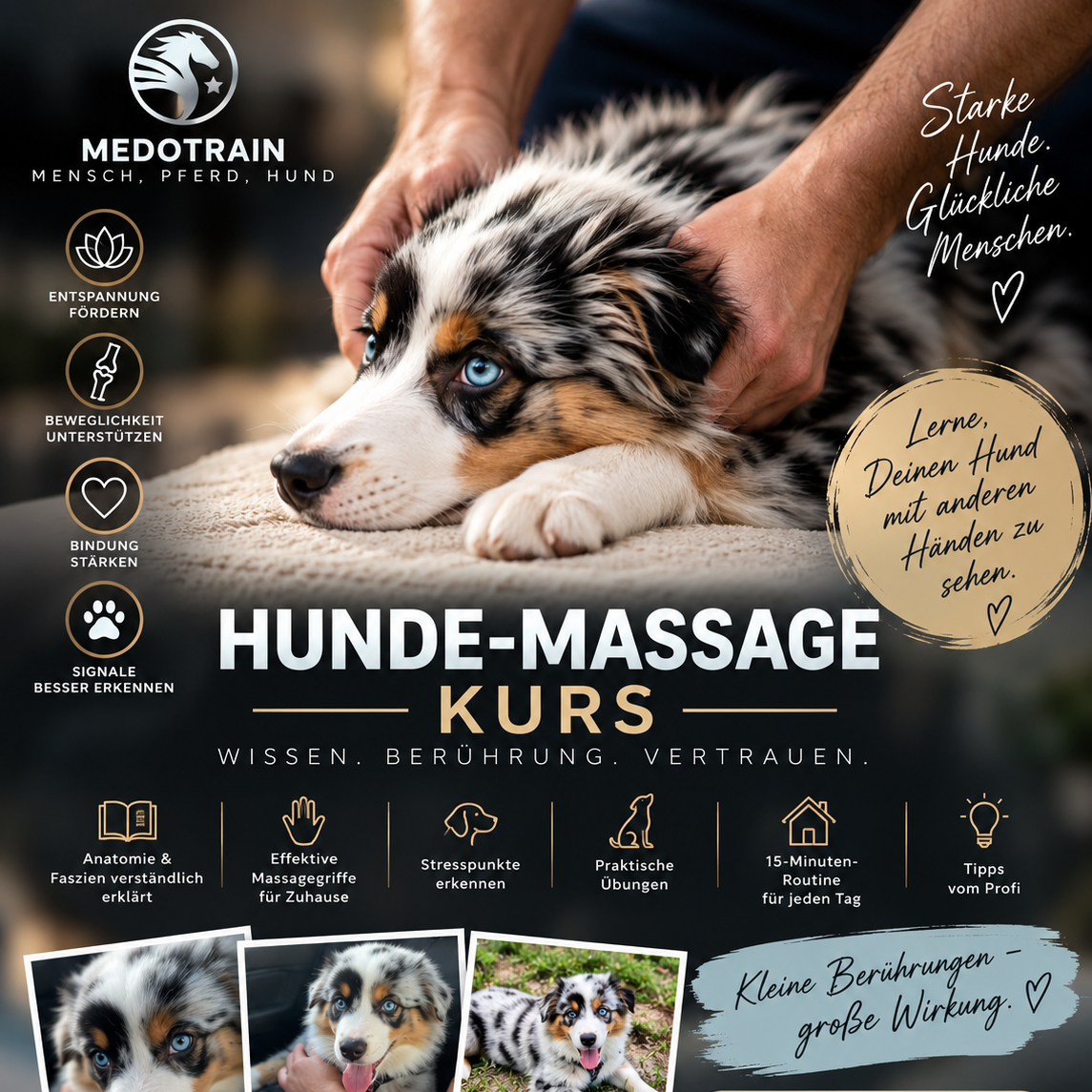 Hundemassage Kurs