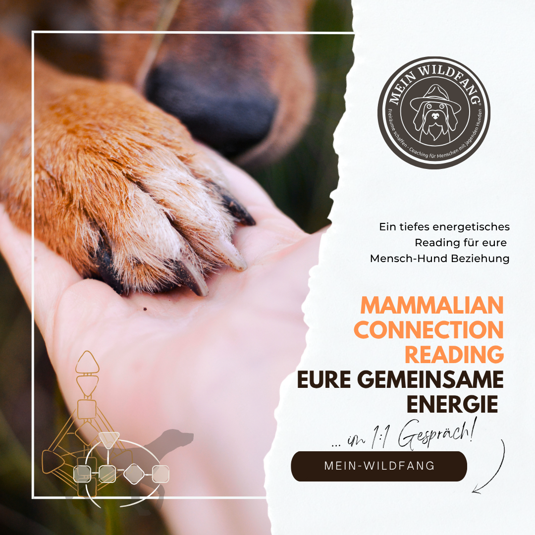 Produktbilder Elopage (25)-1080x1080.png