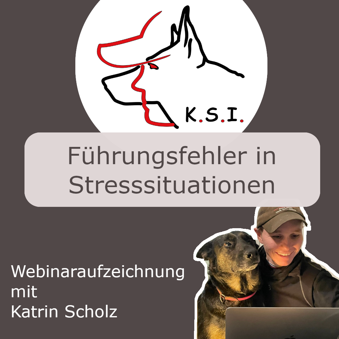 Titelbild mit KSI-Logo und Webinartitel