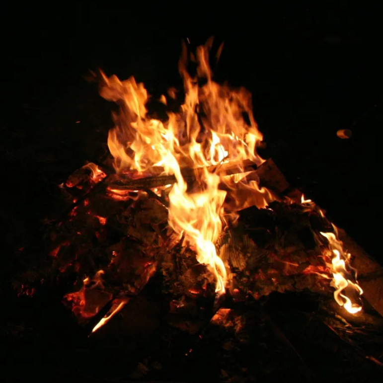IMG_3950-771x771.jpeg