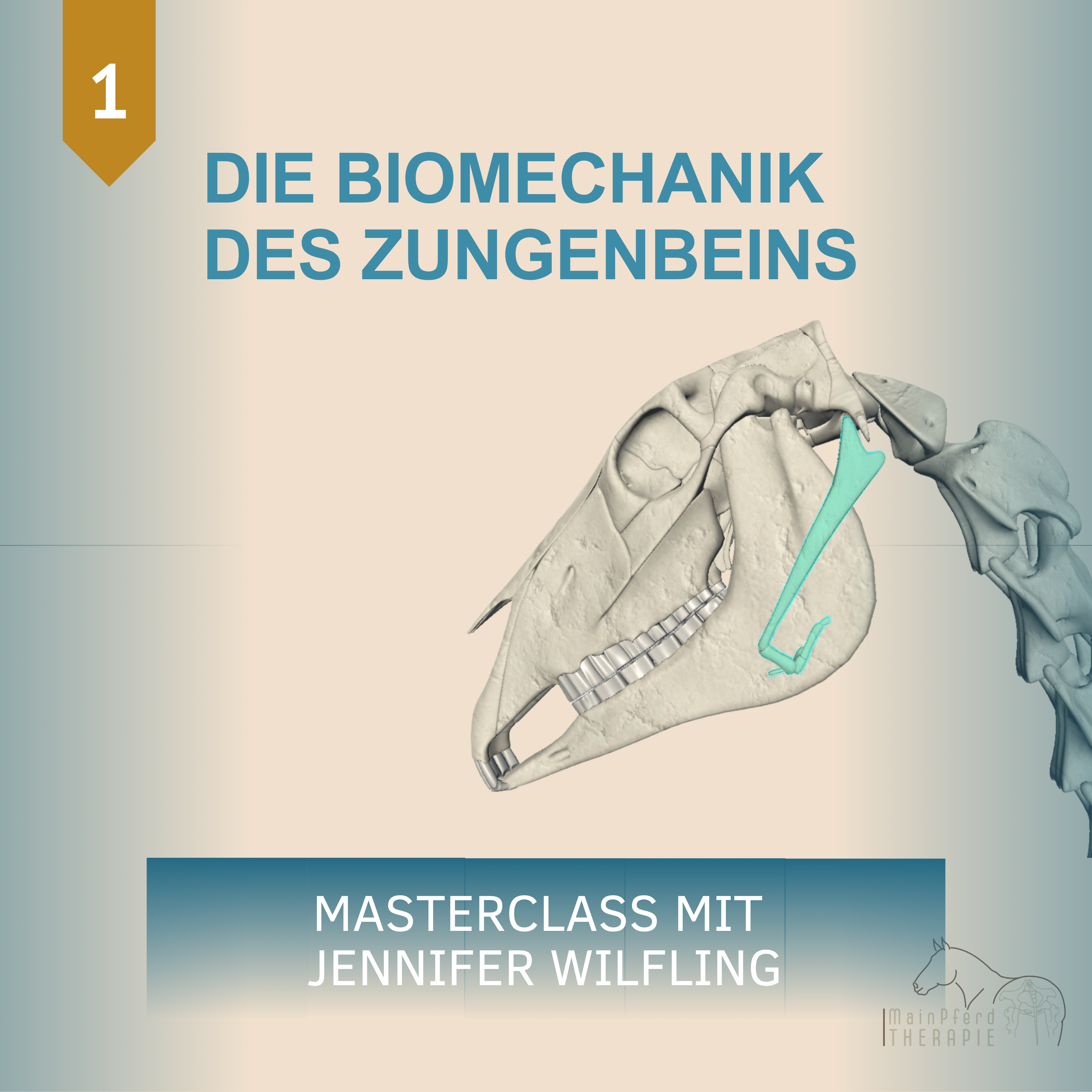 DIE BIOMECHANIK DES KIEFERGELENKS (3)-3375x3375.png