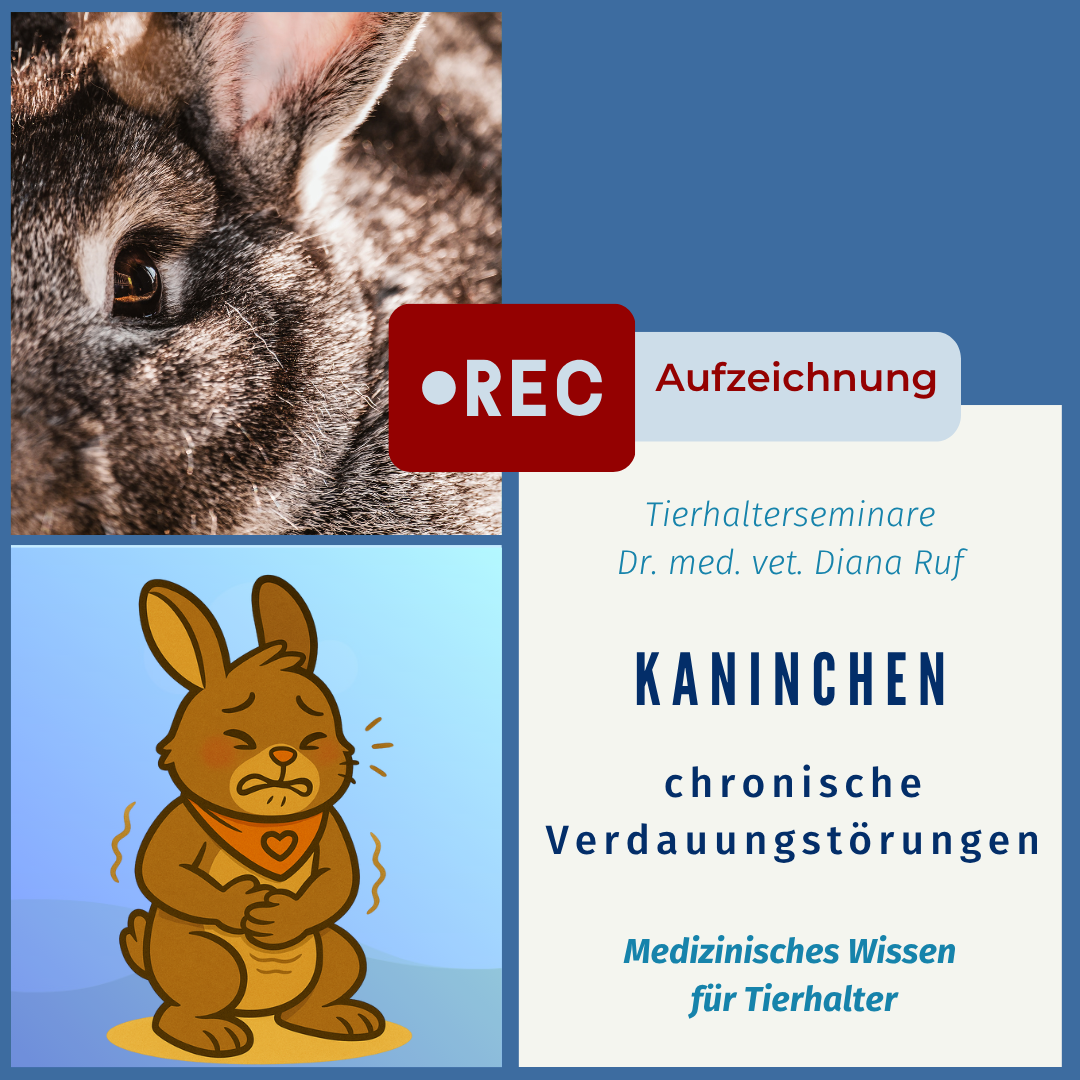 chron. verdauungsbeschwerden kaninchenaufzeichnung-1080x1080.png