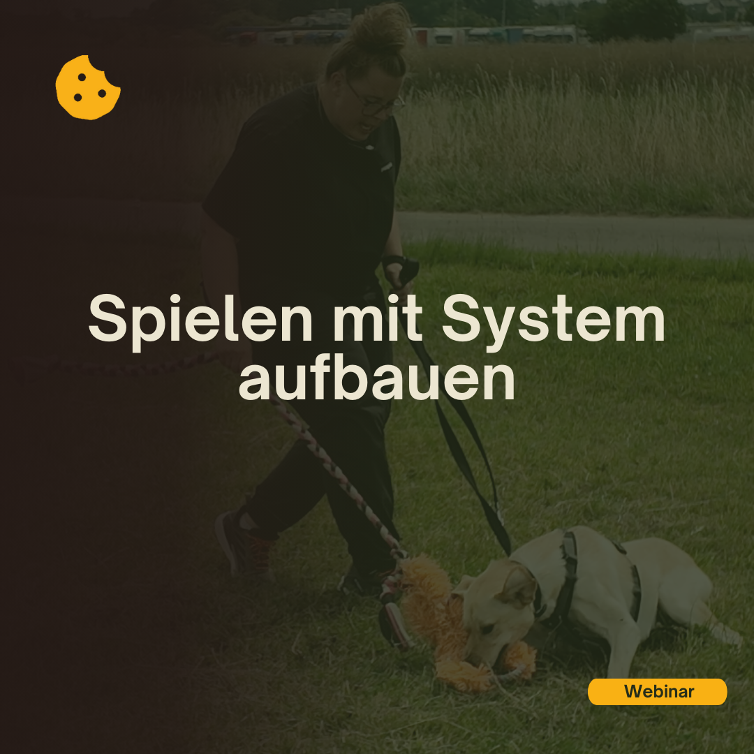 SpielenMitSystemAufbauenWebinar_Cover-1080x1080.png