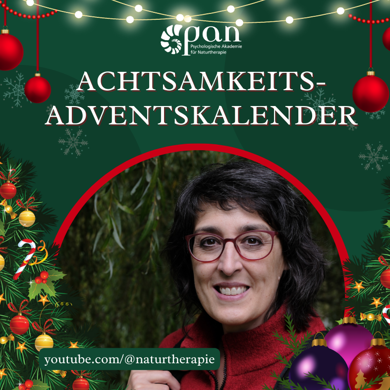 Adventskalender-787x787.png