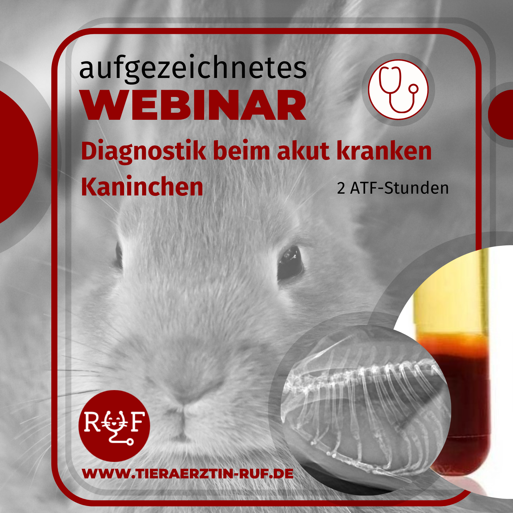 Aufzeichnungen cover 26 Diagnostik-2000x2000.png