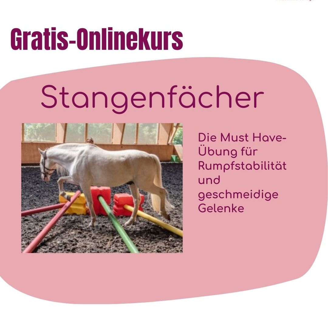 Kopie von Webinar  titel     (240 x 60 px) (1080 x 1080 px)-1080x1080.jpg