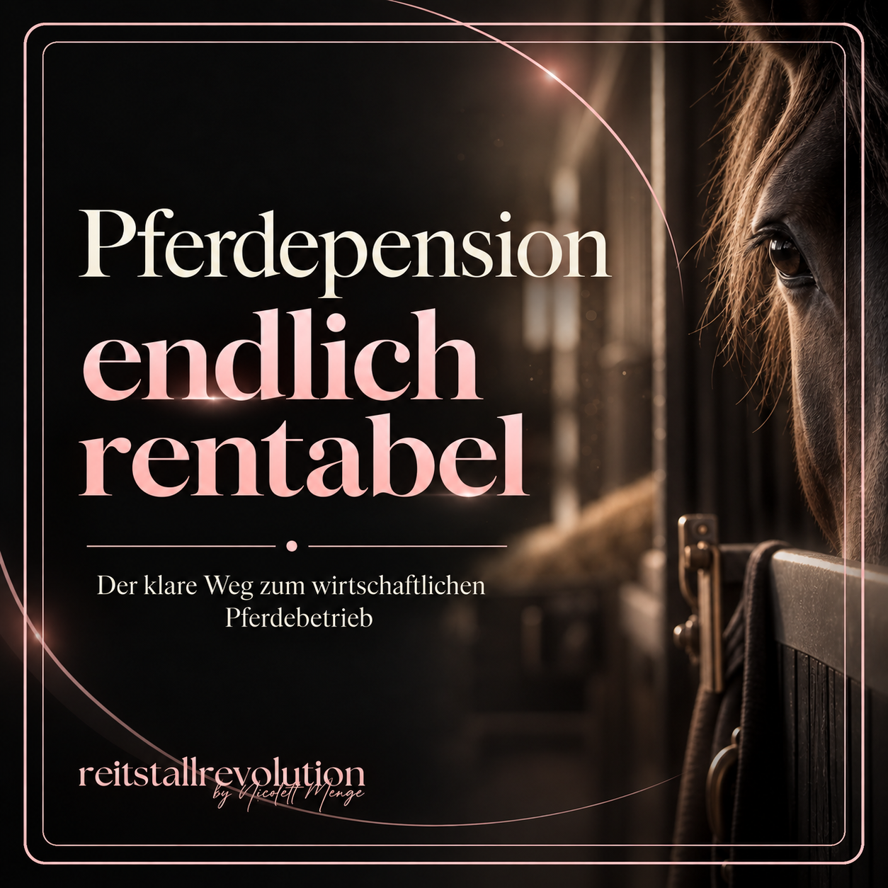 endlich rentabel-1254x1254.png