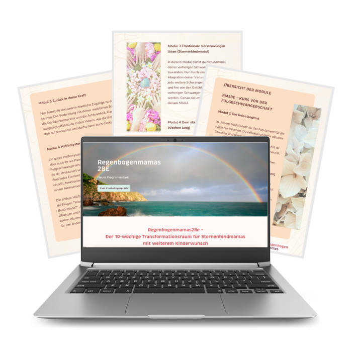 Mockup des Programms