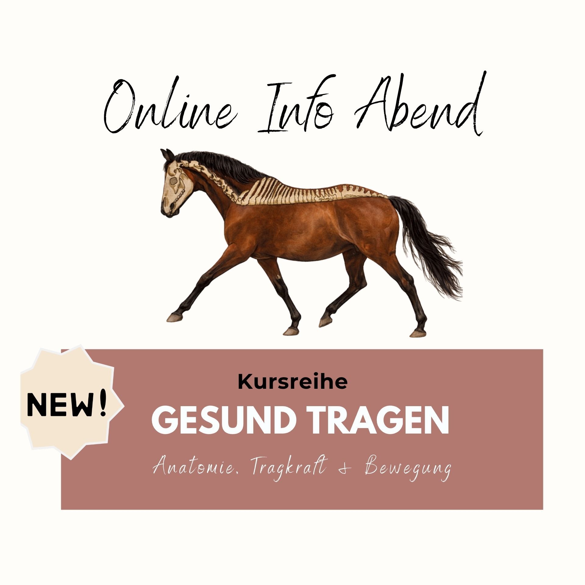 Basisausbildung GESUND TRAGEN (2).pdf (1920 x 1920 px)-1920x1920.jpg