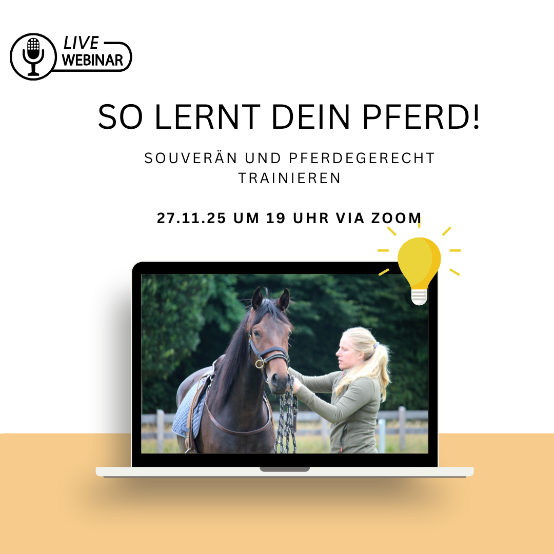 Webinar 27.11. so lernt dein pferd-1080x1080.png