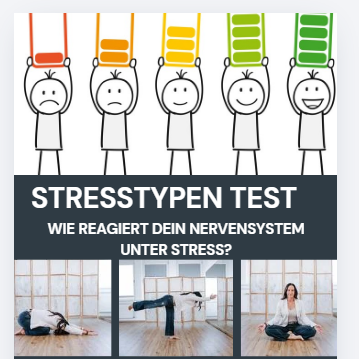 Stresstypen-Test3-359x359.PNG