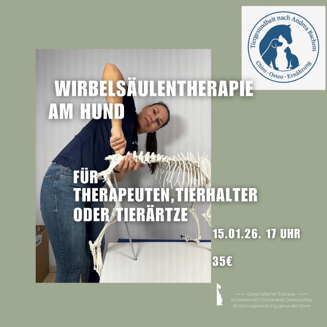 Bachem Beiträge (5x4) (1080 x 1080 px) - Hat dein Hund Arthrose (2)-1080x1080.png