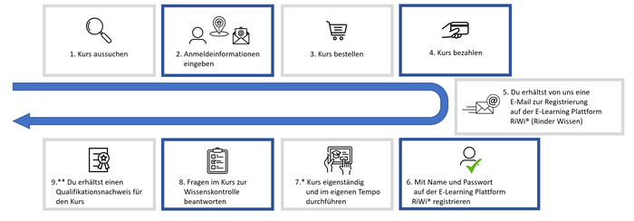 Ablaufschema: Von der Anmeldung bis zum Kurs