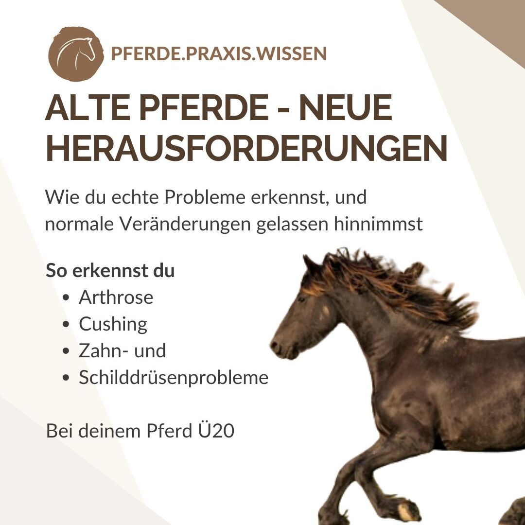 alte-neue-heraus-1080x1080.jpg