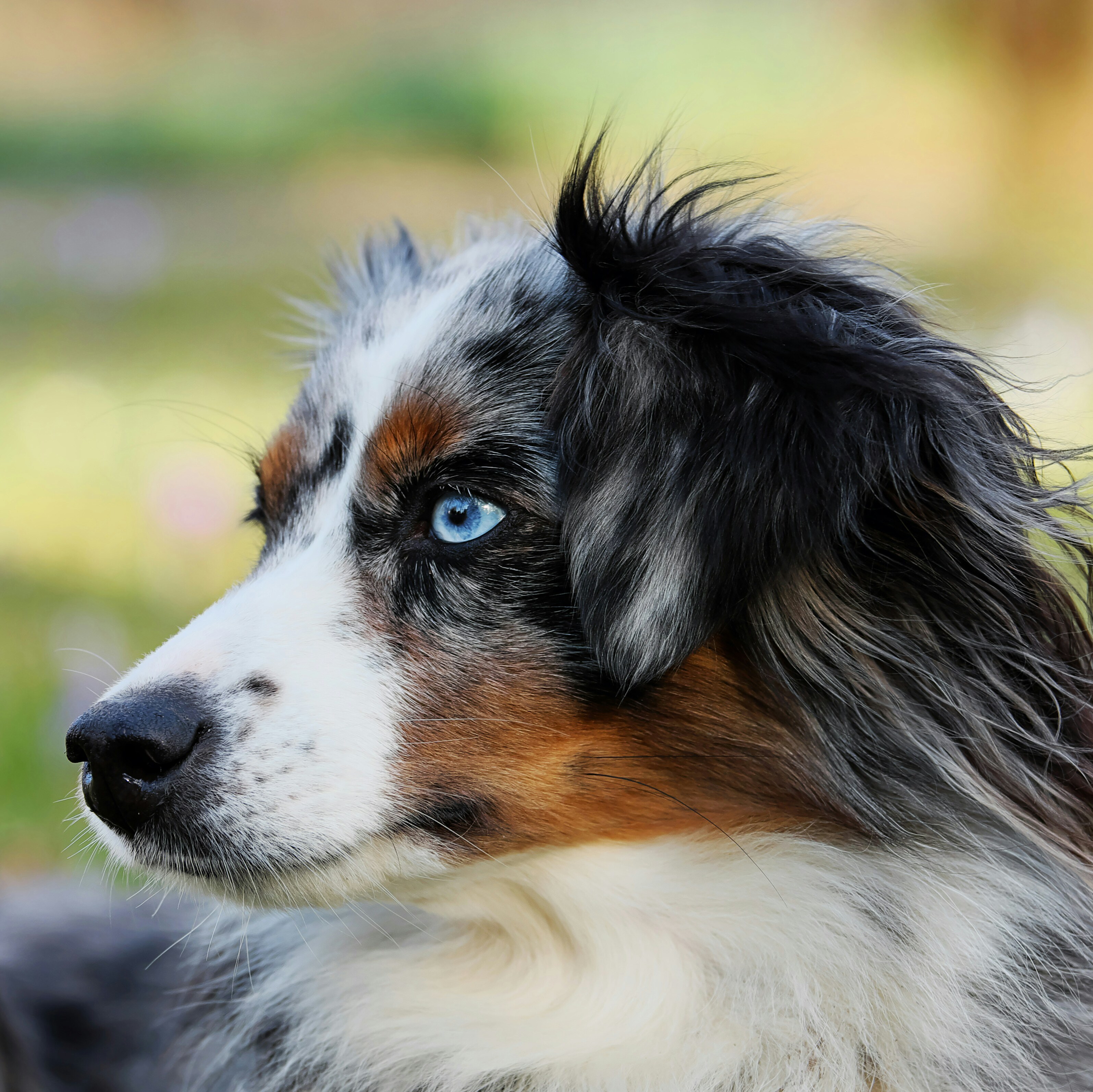 ilona-frey-mz8jEtZAGW4-unsplash-3190x3190.jpg