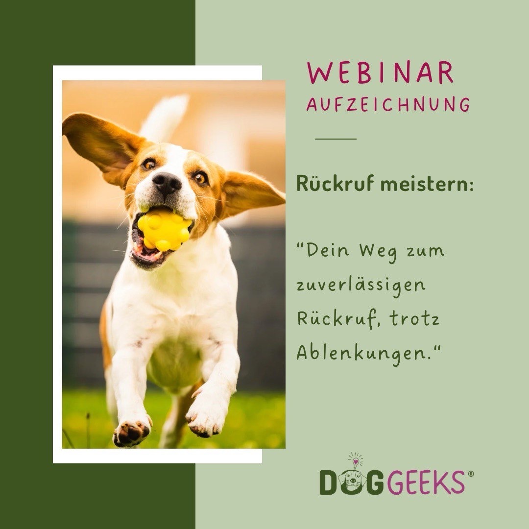 Rückruf Aufzeichnung