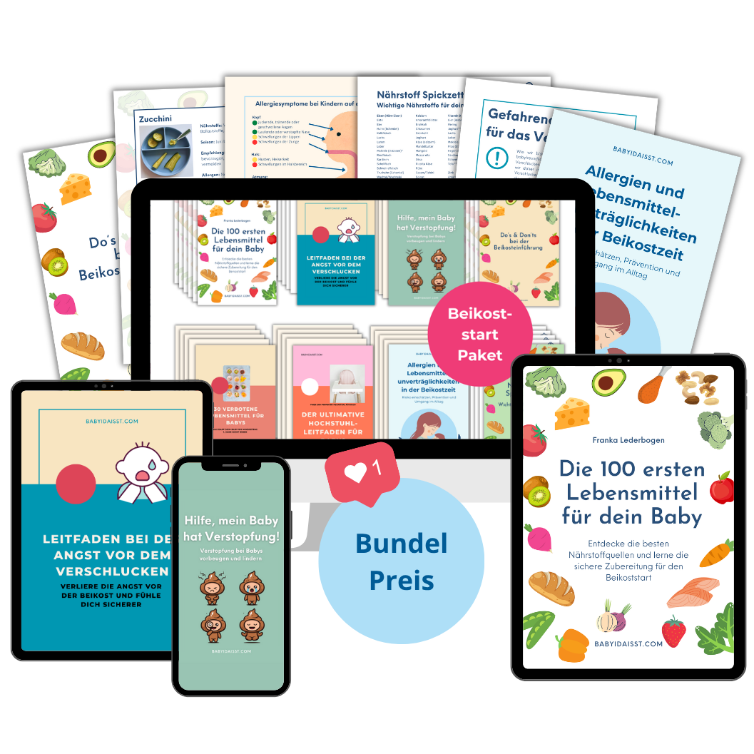 Beikost Leitfäden Bundel