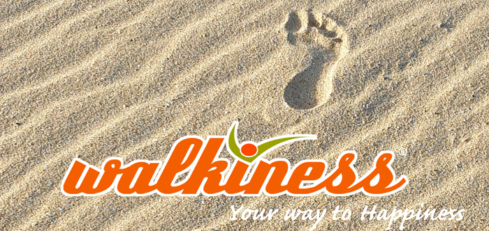 TITELSEITE WALKINESS