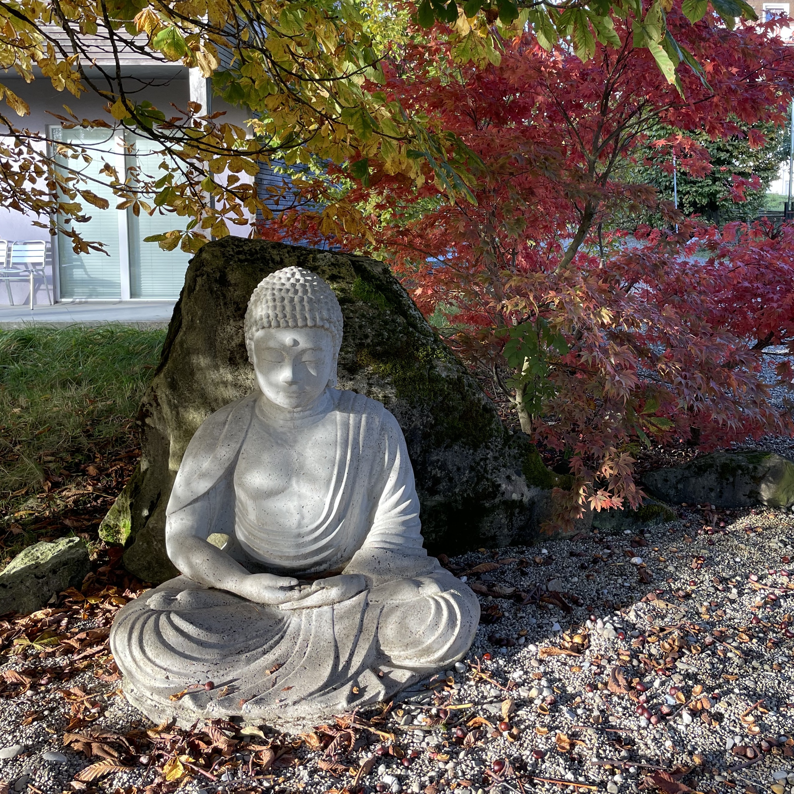 IMG_2091-2635x2635.jpeg