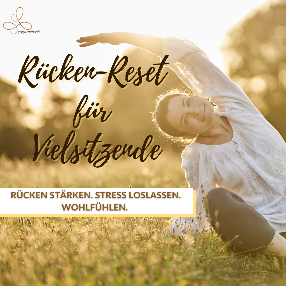 Rücken-Reset für Vielsitzende-1080x1080.png
