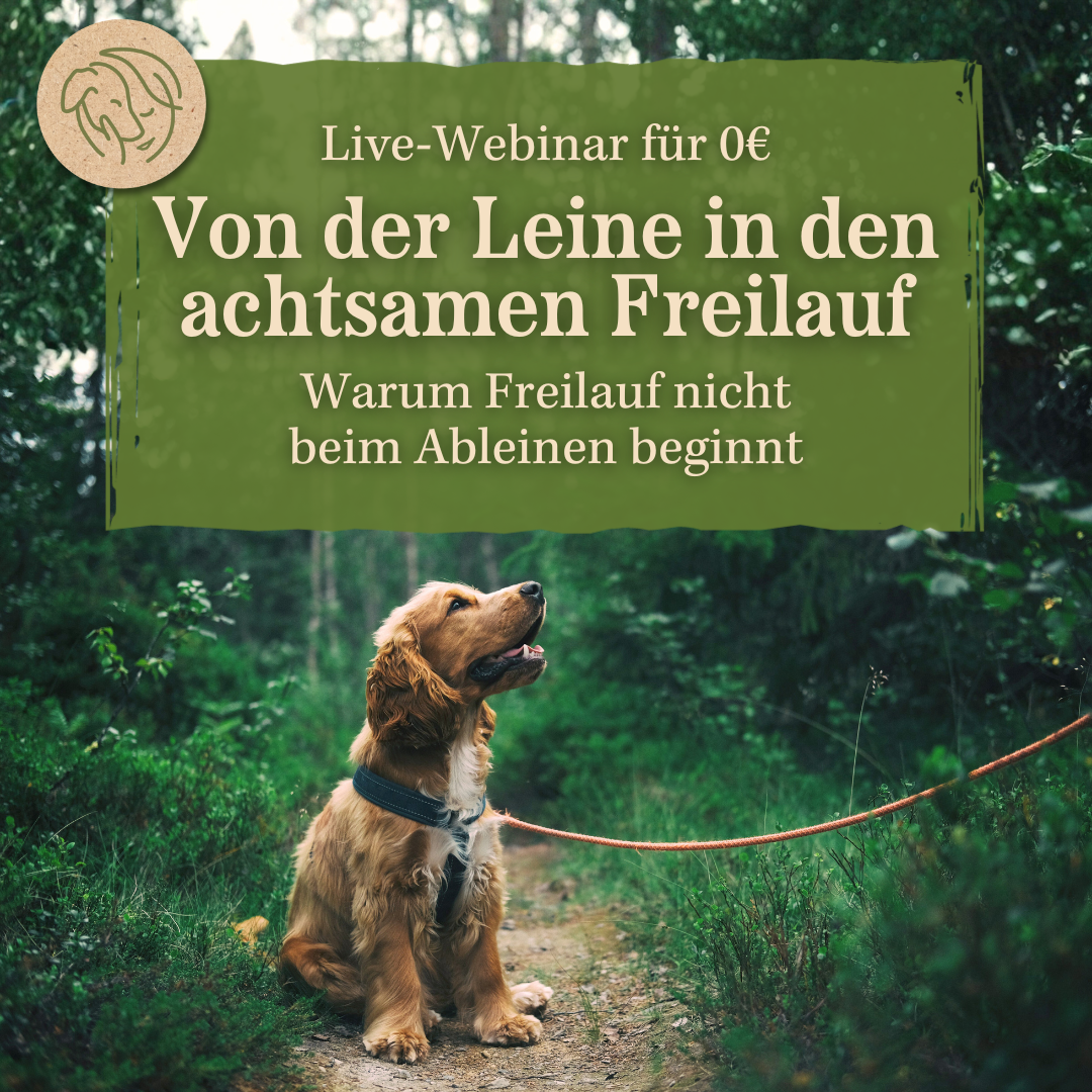 Produktbilder Elopage (1)-1080x1080.png