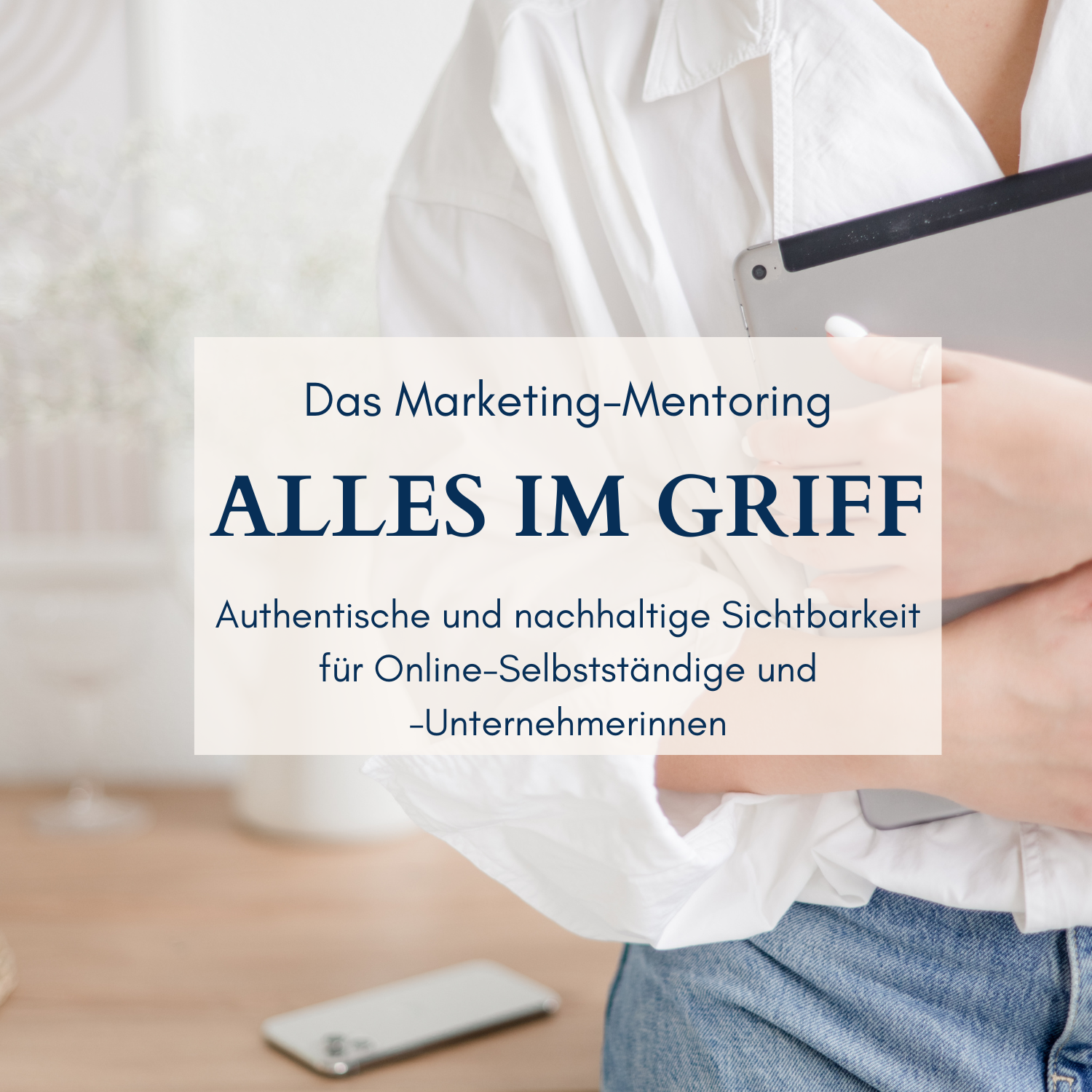 Cover Alles im Griff Marketing Mentoring