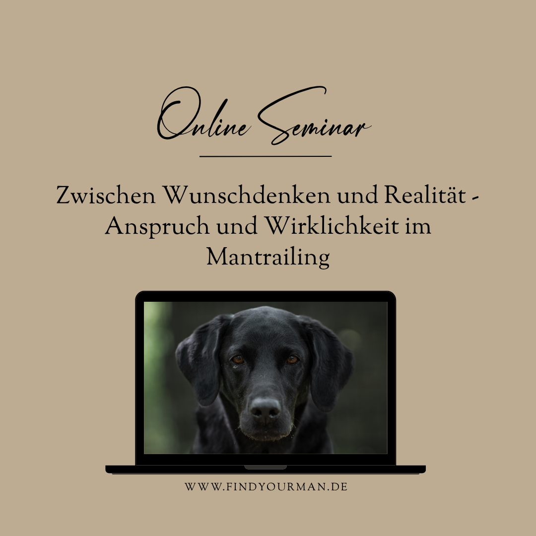 Anspruch und Wirklichkeit-1080x1080.png