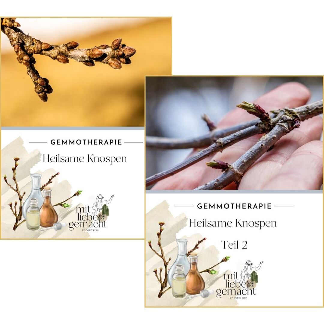 Skripten für Gemmotherapie